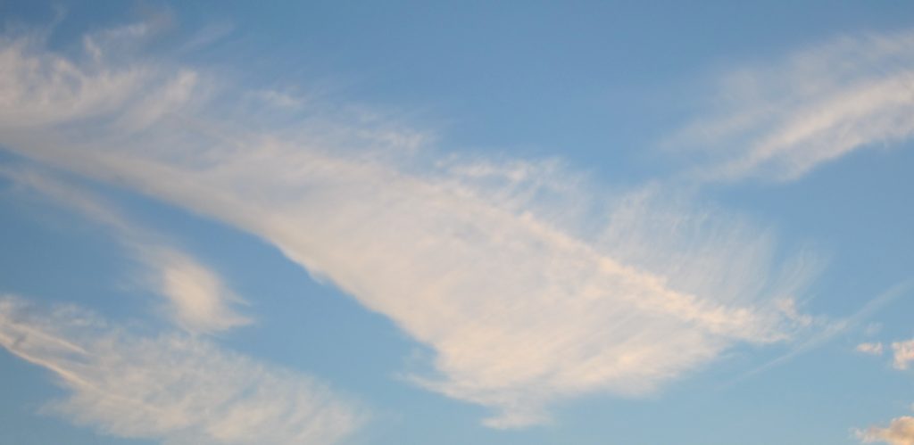 Quill in the sky