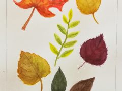 Fall Leaves