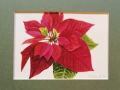 Watercolor Poinsettia