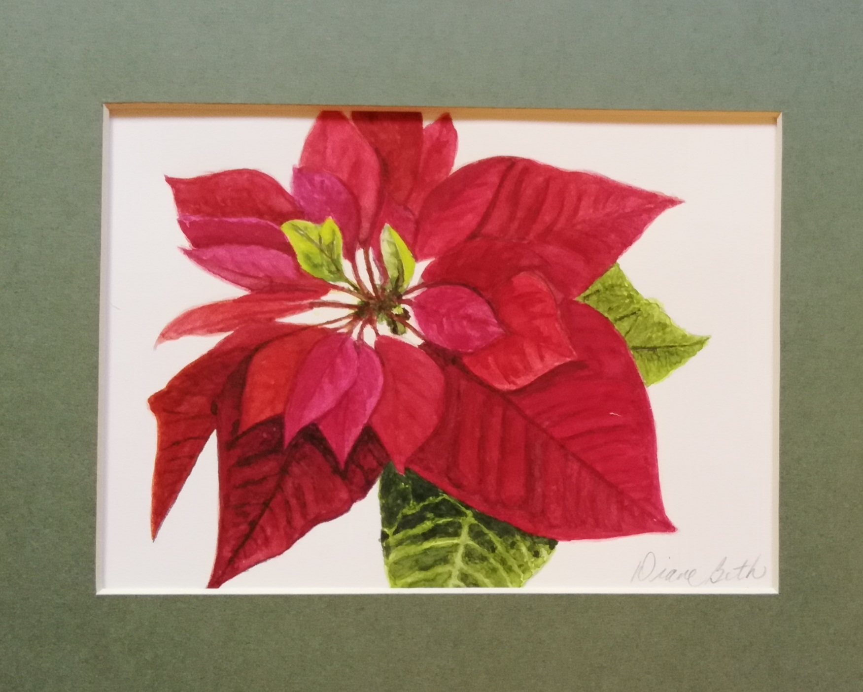 Watercolor Poinsettia | Diane Constantine