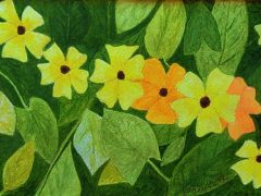 Black-eyed Susan Vine image