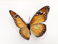 Monarch Butterfly painting