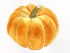 Pumpkin