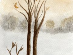 Simple Winter Scene
