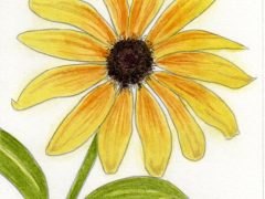Black-Eyed Susan Flower
