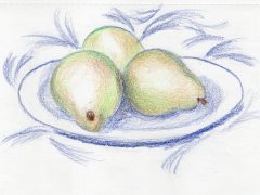 Sketch of three pears