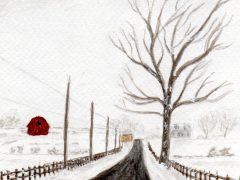Belle Grove Road