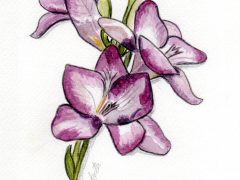 Freesia Flower