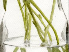 Stems in Water