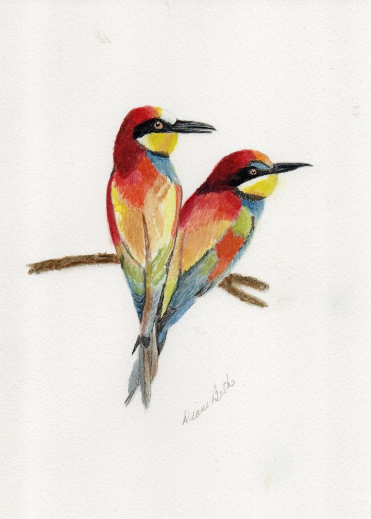 European Been Eaters